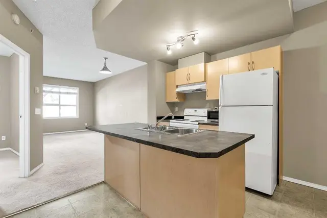 73 Erin Woods Court SE #1103
